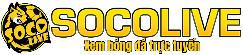 socolivezo.top